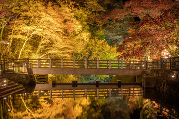 岐阜県 岩屋堂公園 紅葉 ライトアップ