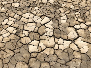 Ecorse terrestre Camargue 2