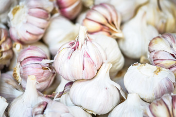 fresh vegetables close up - tomatoes, cucumber, garlic, red onion, spring onion, radish, artichokes, asparagus, eggplant, mushrooms