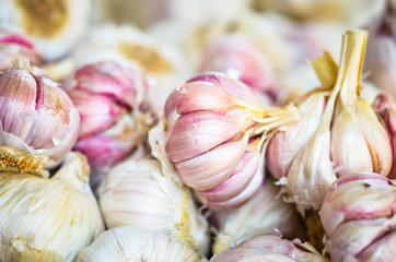 fresh vegetables close up - tomatoes, cucumber, garlic, red onion, spring onion, radish, artichokes, asparagus, eggplant, mushrooms