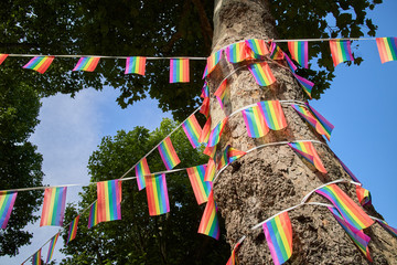 Bright rainbow coloured LGBT pride bunting wrapped around a tree.