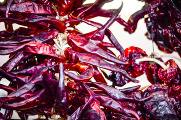 fresh vegetables close up - tomatoes, cucumber, garlic, red onion, spring onion, radish, artichokes, asparagus, eggplant, mushrooms