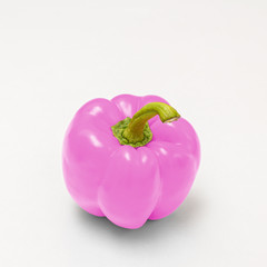 Ansicht einer pinkfarbenen einzelnen Paprika