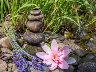 Fototapeta na wymiar Balance der Steine mit Lavendel und Lotusblume