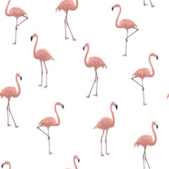 vector seamless realistic flamingo pattern
