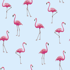 vector seamless realistic flamingo pattern