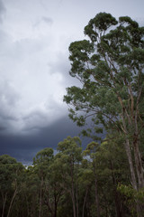 Obraz na płótnie Canvas Moody landscape with approaching storm clouds