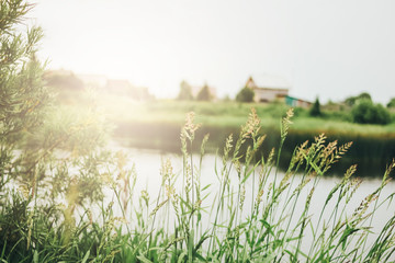 Quiet river, grassy shore and village countryside background
