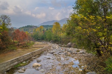 A river in yellow autumn trees