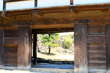 彦根城　改装中の彦根城　国宝彦根城　彦根城閣