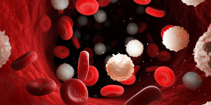 3d rendered medically accurate illustration of too many white blood cells due to leukemia