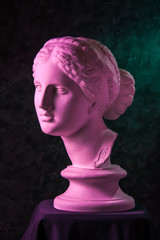 Gypsum copy of ancient statue Venus head on a dark green textured background. Plaster sculpture...