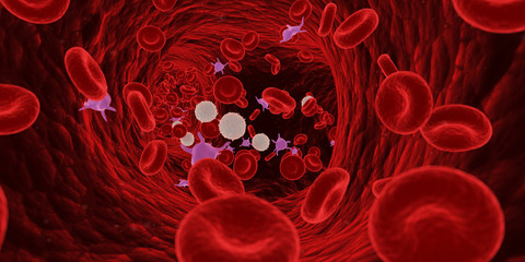 3d rendered medically accurate illustration of blood cells in a human artery