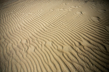Sandstructure at the Beach