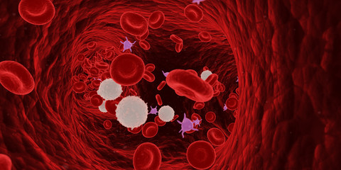 3d rendered medically accurate illustration of blood cells in a human artery