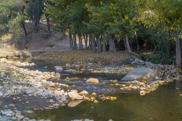 Autumn trees reflections in a lake
