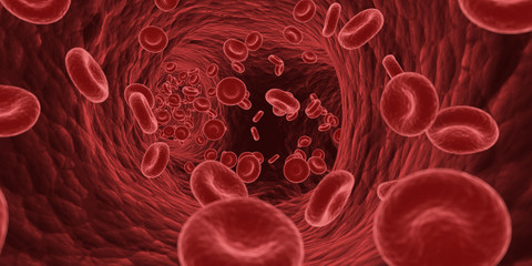 3d rendered medically accurate illustration of blood cells in a human artery