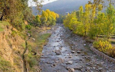 A river in yellow autumn trees