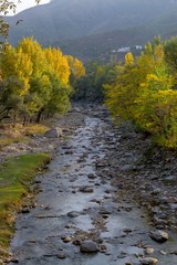 A river in yellow autumn trees