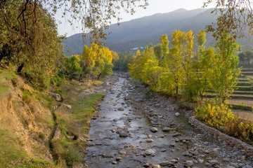 A river in yellow autumn trees
