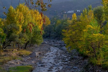 A river in yellow autumn trees
