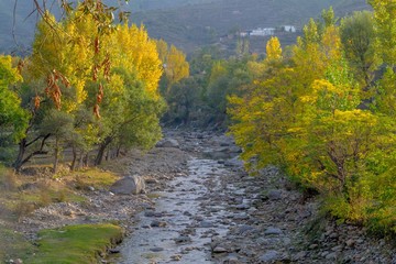 A river in yellow autumn trees