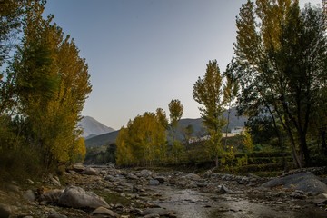 Autumn trees reflections in a lake