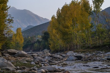 Autumn trees reflections in a lake