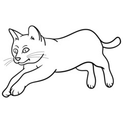 Vector drawing of a cute cat who is jumping and up in the air. outline, sketch, tiger, little cat