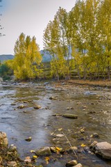Autumn trees reflections in a lake