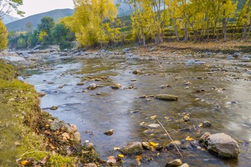 Autumn trees reflections in a lake
