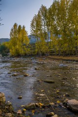 Autumn trees reflections in a lake