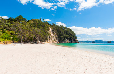 Fototapeta na wymiar Hahei Beach at Coromandel Peninsula on New Zealand