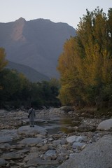 Autumn trees reflections in a lake