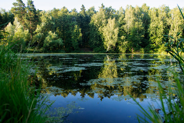 Pond river pond nature sky in reflection.