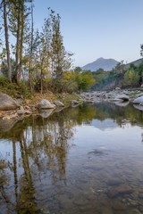 Autumn trees reflections in a lake