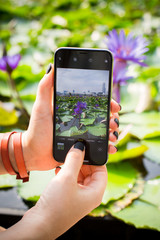 Beautiful Singapore - panorama, cityscape, modern city