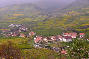 Overlooking of the village; Spitz;Vienna;Austria