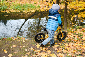 Autumn. Active family walks with children in the park.