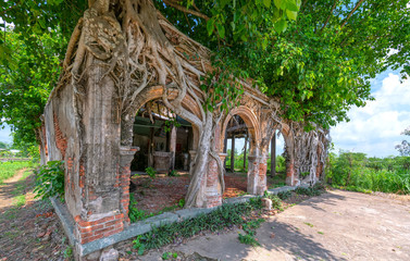 An abandoned ancient temple with an ancient tree growing on the wall rises to create an old beauty combining architecture and nature in Tien Giang, Vietnam