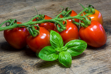 Fresh tomatoes on wood background