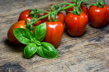 Fresh tomatoes on wood background