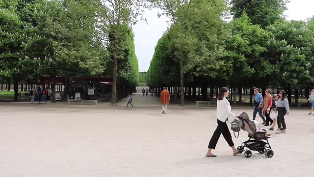 Paris. le jardin des Tuileries