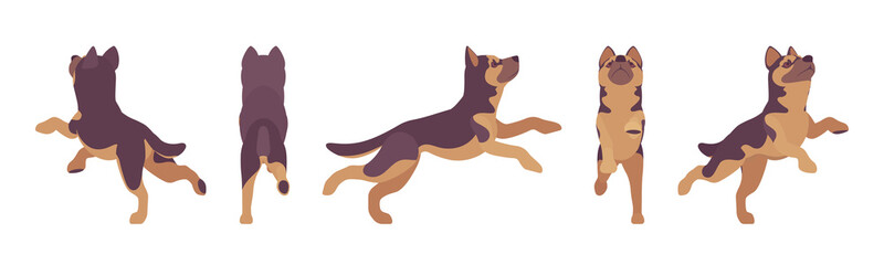 Shepherd dog jumping. Working breed, family pet, companion for disability assistance, search, rescue, police, military help. Vector flat style cartoon illustration, white background, different views