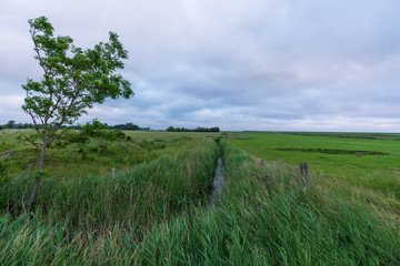 Weite Wiesenlandschaft mit Gewitterwolken