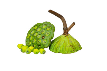 seed pods and seeds of lotus on the white background with clipping path