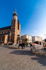 Naklejka na ściany i meble Krakow, Poland - April, 2019: Two Horses In Old-fashioned Coach At Old Town Square In Cloudy Summer Day. St. Mary's Basilica Famous Landmark On Background. Church of Our Lady Assumed into Heaven.