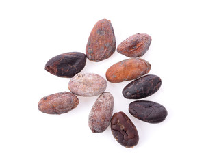 cocoa beans on white background