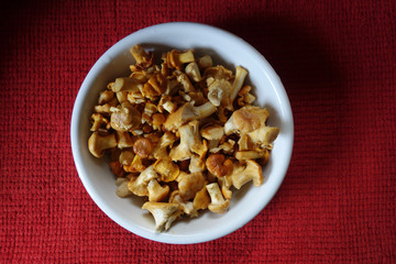 Frische Früchte des Waldes . PFIFFERLINGE (Cantharellus cibarius)