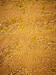 Clear sea water with waves and sea weeds, golden sand